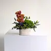 Eclectic Mini Design