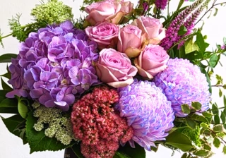 International Women's Day March 8