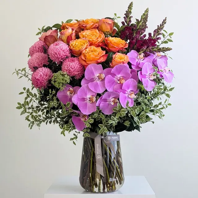 Deluxe Splash of Colour