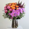 Deluxe Splash of Colour