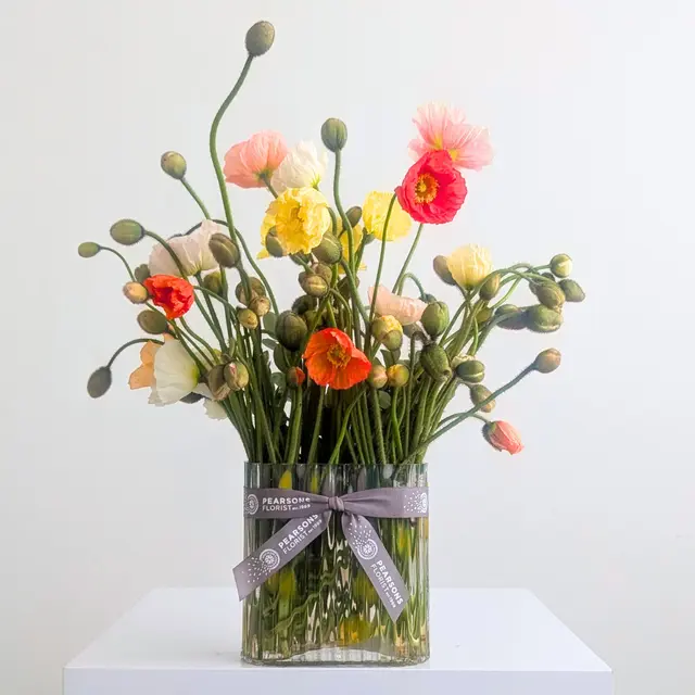 Wild Poppy Vase
