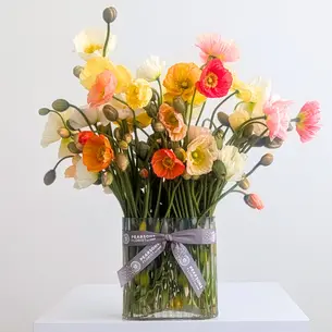Wild Poppy Vase