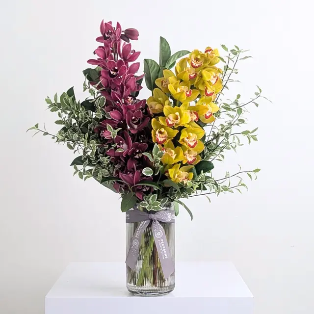 Bambino Cymbidium Orchid Vase