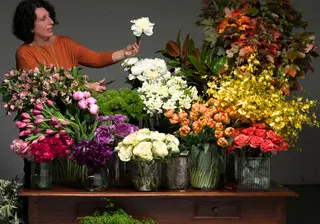 Winter Blooms: Embracing Seasonal Flowers