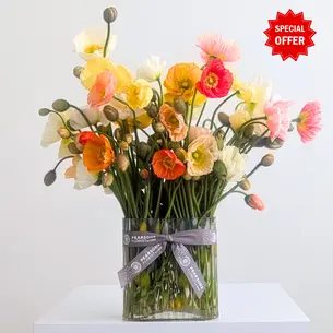 Wild Poppy Vase