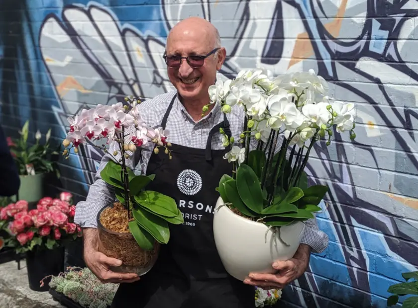 The Ultimate Guide to Indoor Plant Care