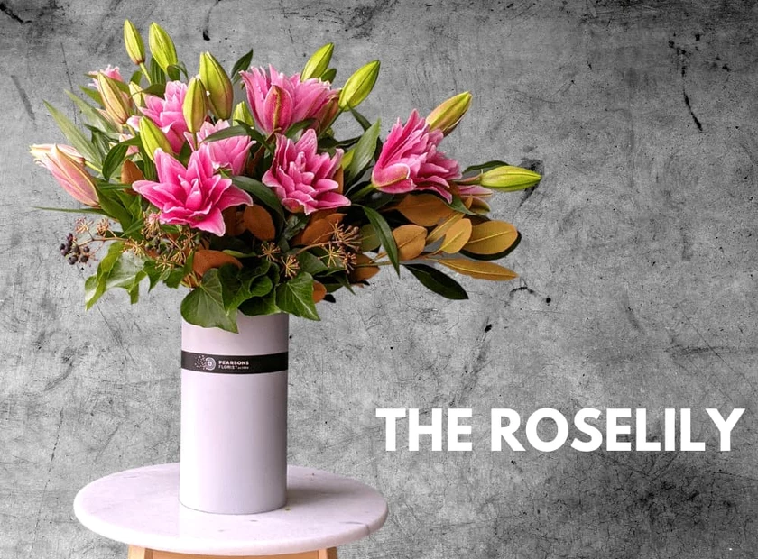 Roselily