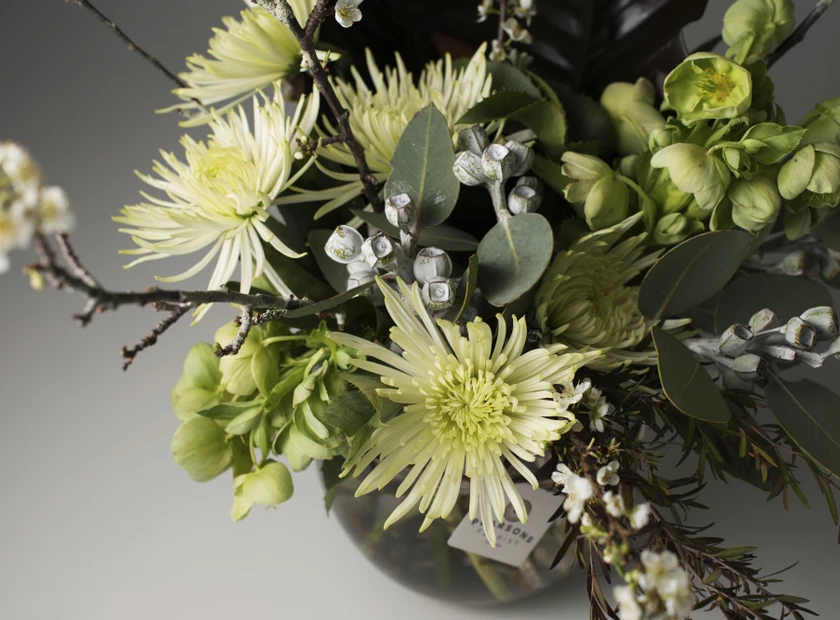 Captivated by Moonlight!