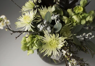 Captivated by Moonlight!