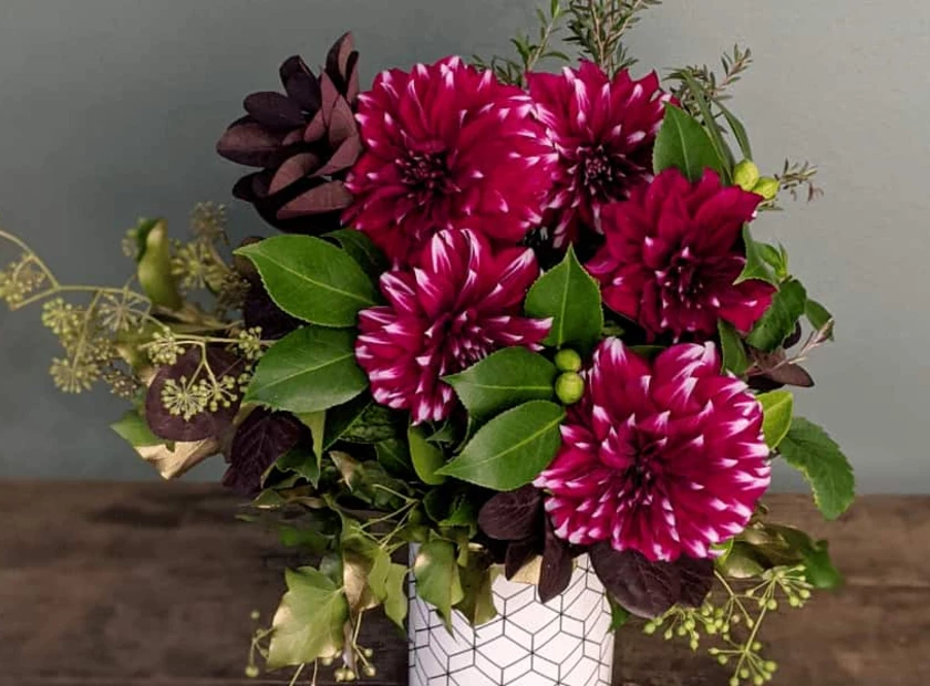 Dahlias - The Darlings of the Flower World