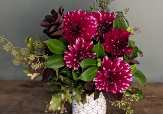 Dahlias - The Darlings of the Flower World