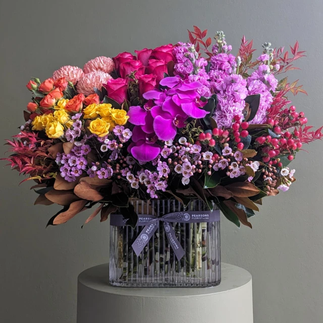 Ultimate Splash of Colour