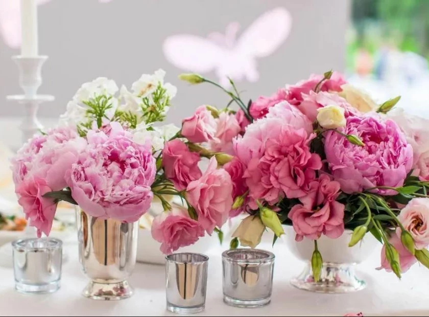 A Complete Guide to Peonies: Beauty in Bloom
