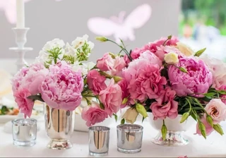 A Complete Guide to Peonies: Beauty in Bloom