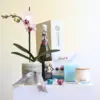 Happiness Orchid Hamper