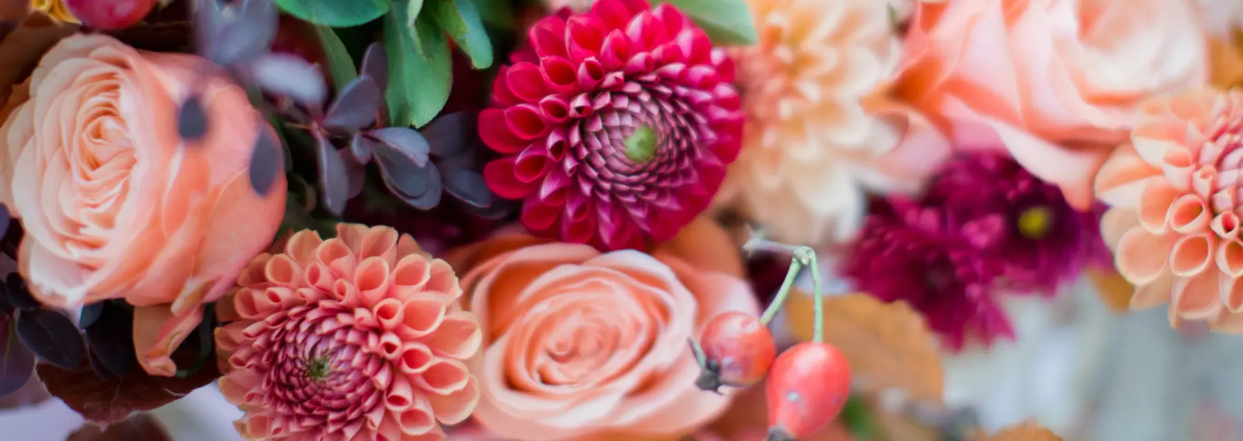 Flowers, Plants and Gift Hampers Share the Love!