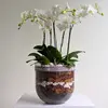 Medium White Orchid Glass Bowl