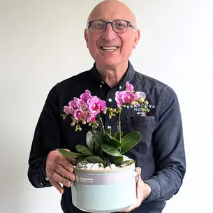 Orchid Bowl Pink