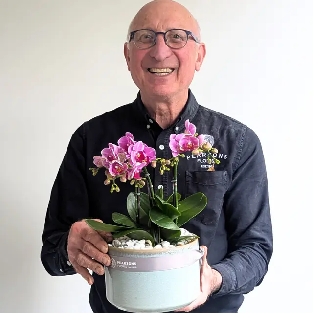 Orchid Bowl Pink