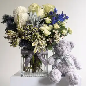 It's a Boy!