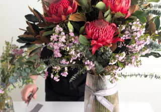 Waratah Flowers: A Springtime Marvel in Australia