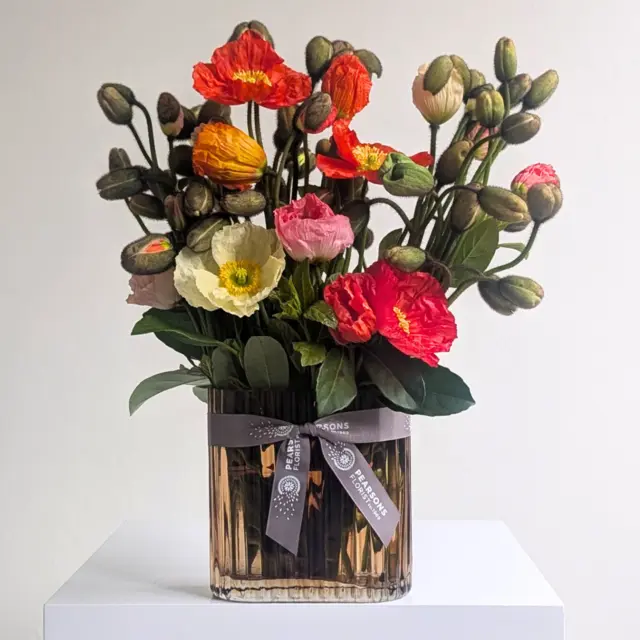 Wild Poppy Vase