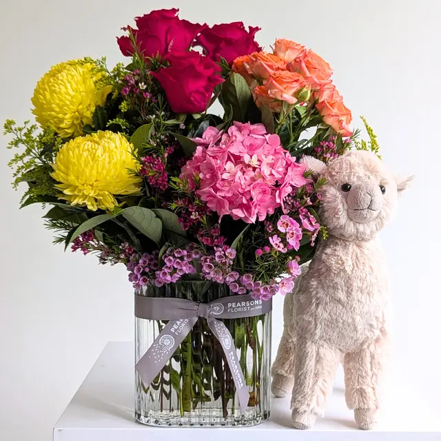 Love Llama Gift Hamper