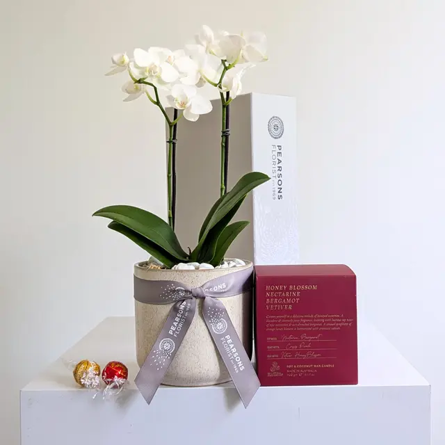 Festive Orchid & Candle Hamper