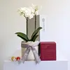 Festive Orchid & Candle Hamper