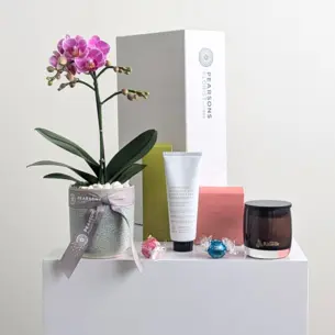 Gratitude Orchid Hamper