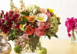 Celebrating Spring: Pearsons Guide to Springtime Blooms