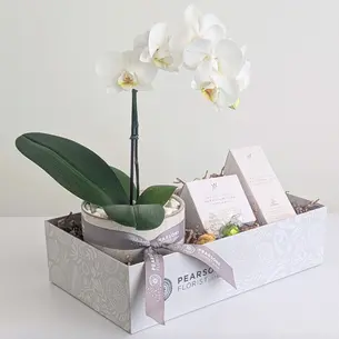 Relax Orchid Hamper