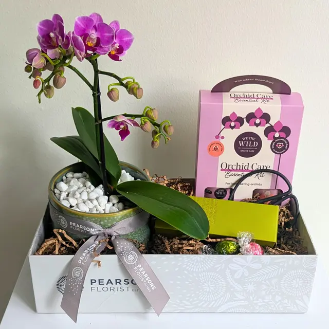 Orchid Care Gift Hamper