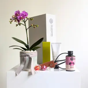 Orchid Care Gift Hamper
