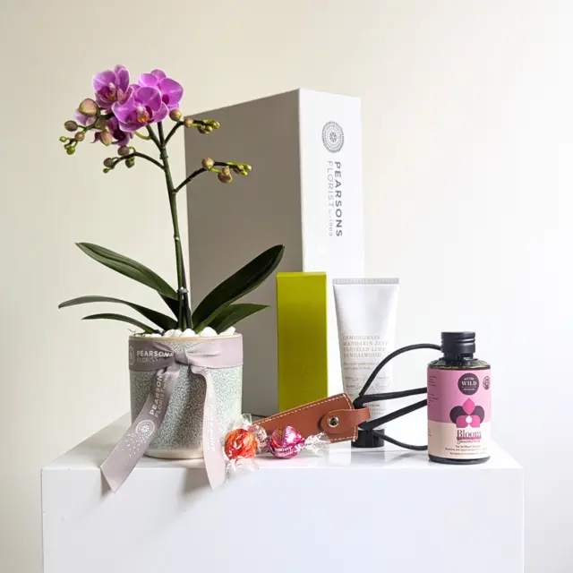Orchid Care Gift Hamper