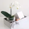 Serenity Orchid Hamper