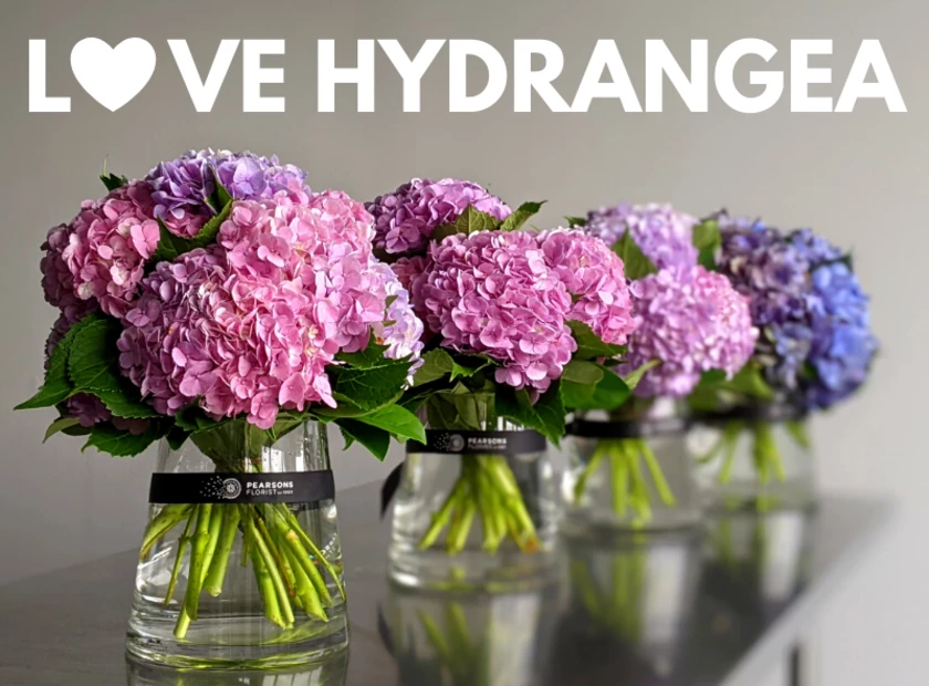 Vintage Sweethearts of Sydney Suburbia