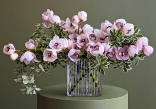 What Flowers are in Season in Winter?