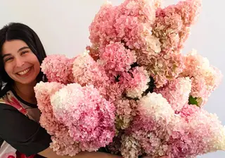 Vintage Sweethearts of Sydney Suburbia