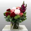 Coral Crush Celosia Vase