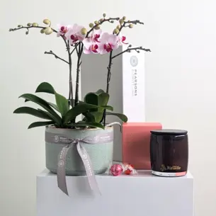 Garden of Love Hamper