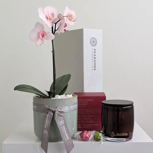 Merry Orchid & Candle Hamper