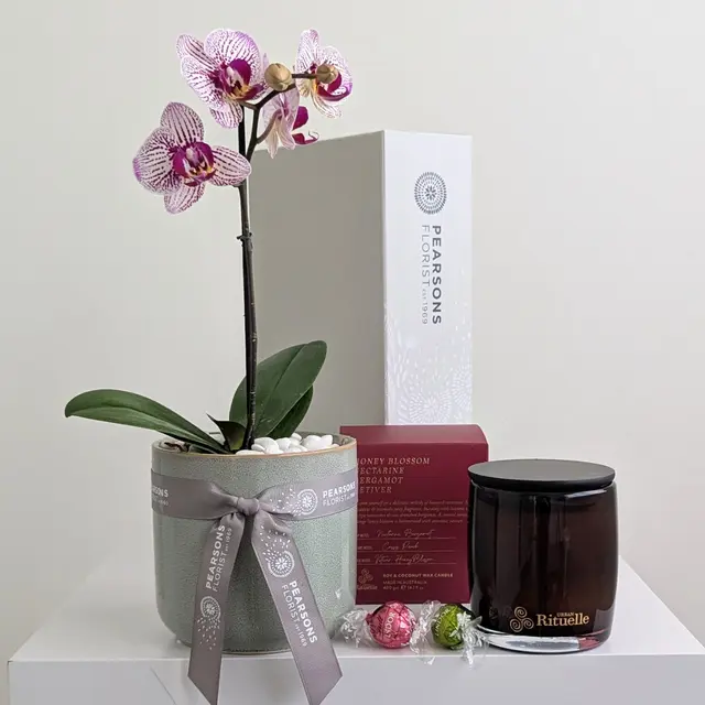 Merry Orchid & Candle Hamper