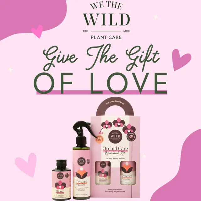 We the Wild Orchid Care Duo