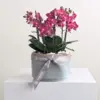 Orchid Bowl Red